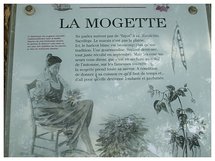 La 33e édition de la fête de la Mogette ce dimanche 9 octobre aux Brouzils La 33e édition de la fête de la Mogette ce dimanche 9 octobre aux Brouzils