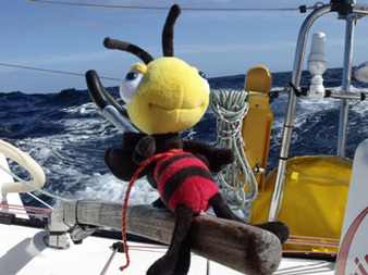 Jacques Fournier et Jean-Edouard Criquioche après 1000 milles depuis le départ de Saint Nazaire Jacques Fournier et Jean-Edouard Criquioche après 1000 milles depuis le départ de Saint Nazaire