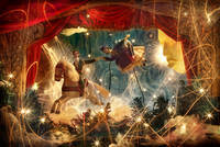 Soleils d'hiver dans les musées Soleils d'hiver dans les musées