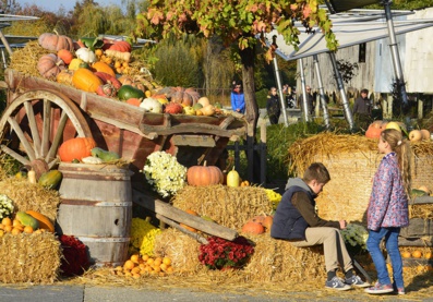 Le Parc végétal angevin sous les couleurs de l’Automne pendant 5 jours