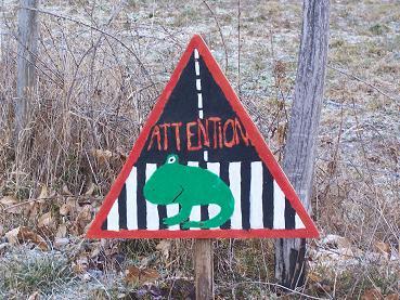 Le crapauduc du Lac-de-Maine a permis de sauver 621 batraciens en migration en cette période de reproduction Le crapauduc du Lac-de-Maine a permis de sauver 621 batraciens en migration en cette période de reproduction