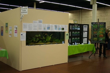 Les 5 et 6 novembre, 500 associations au forum Agora Les 5 et 6 novembre, 500 associations au forum Agora