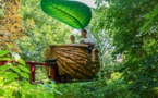 Nouveau record de fréquentation à Terra Botanica à Angers avec + 20% en juillet