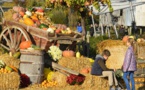 Le Parc végétal angevin sous les couleurs de l’Automne pendant 5 jours