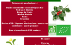 Marché de Noël à La Roche-sur-Yon avec Graine d'ID le 9 décembre