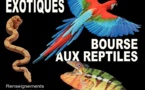 Championnat de Vendée d’Oiseaux exotiques et Bourse aux reptiles à La Roche sur Yon ce dimanche