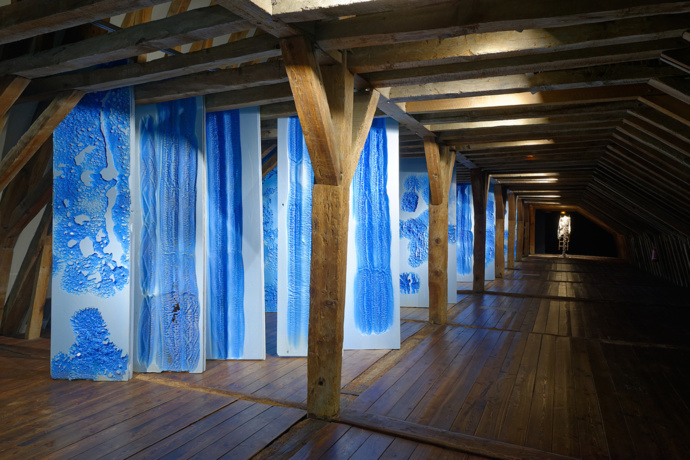 Exposition de Anita Molinero au MASC jusqu'au 24 septembre
