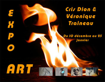 Exposition d'art au magasin BIONALO du Jeudi 15 décembre au Mercredi 25 janvier 2012