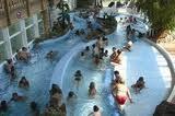 Piscine Arago, La Roche-sur-Yon Piscine Arago, La Roche-sur-Yon