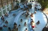 Piscine Arago, La Roche-sur-Yon