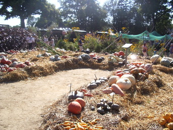 Fête de la Citrouille 2011 Fête de la Citrouille 2011