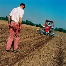 Les Jeunes Agriculteurs sur la paille