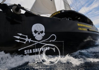 COLUMBUS : Le Navire Ambassadeur au service de SEA SHEPHERD a jeté l'encre aux Sables d'Olonne