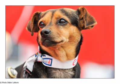 François Gabart (MACIF) distance ce matin Armel Le Cléac'h (Banque Populaire) d'un peu plus de 150 milles (153,2) François Gabart (MACIF) distance ce matin Armel Le Cléac'h (Banque Populaire) d'un peu plus de 150 milles (153,2)