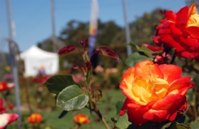 Copyright Thibault Jandot/Ville des Sables d'Olonne Copyright Thibault Jandot/Ville des Sables d'Olonne