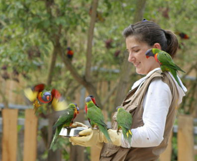 Ouverture exceptionnelle du zoo des Sables le week-end de Pâques (30 et 31 mars et 01 avril) 