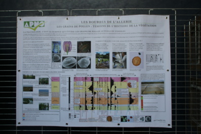 Exposition : « les Bourbes de l’Allerie, une tourbière au pays des Olonnes » par l'APNO