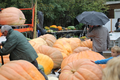 La fête de la citrouille arrive à grands pas à la Mothe-Achard