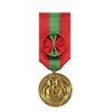 Médaille de la Famille Française Médaille de la Famille Française