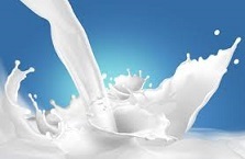 LAIT : 4 réunions pour faire le point LAIT : 4 réunions pour faire le point