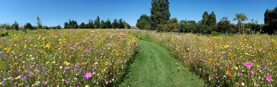 Copyright Thibault Jandot Copyright Thibault Jandot