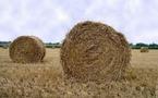 Aide pour les agriculteurs : 20 000 tonnes de paille livrés en Vendée en 2011