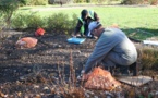 Plantation des bulbes en automne, le printemps se prépare déjà aux jardins de La Mérinière !