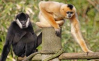 Réouverture annuelle du zoo des Sables le samedi 16 février 2013