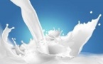 LAIT : 4 réunions pour faire le point