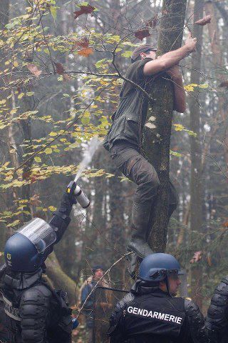 Nantes : le site de Notre-Dame-des-Landes à nouveau occupé depuis ce matin