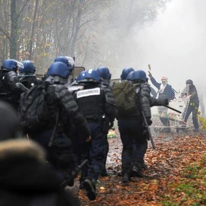 Notre Dame des Landes : les opposants remportent une victoire judiciaire