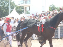 Hippodrome de la Malbrande ce soir à 19h30