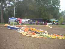 Le Girouard : découverte des Cucurbitacées les 18 et 19 octobre Le Girouard : découverte des Cucurbitacées les 18 et 19 octobre