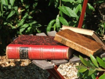 Le Château d'Olonne : salon du livre ancien le dimanche 9 avril de 9h00 à 18h00 Le Château d'Olonne : salon du livre ancien le dimanche 9 avril de 9h00 à 18h00