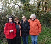 Talmont Saint-Hilaire : 50 000 bulbes de tulipes seront plantés pour la recherche médicale  