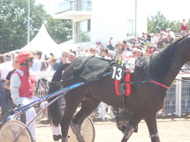 L'hippodrome de la Malbrande aux Sables d'Olonne vous propose à partir du samedi 18 avril 16h30 L'hippodrome de la Malbrande aux Sables d'Olonne vous propose à partir du samedi 18 avril 16h30