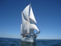 Copyright Stéphanie Gaspari Copyright Stéphanie Gaspari