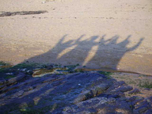 La Roche-sur-Yon : exposition « Les Artistes chauds » jusqu'au 13 novembre à la Maison du Monde et des Citoyens La Roche-sur-Yon : exposition « Les Artistes chauds » jusqu'au 13 novembre à la Maison du Monde et des Citoyens