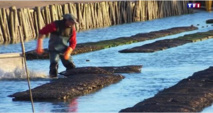 Le site ostréicole le plus petit de France se trouve en Vendée Le site ostréicole le plus petit de France se trouve en Vendée