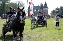 La fête du cheval 2010 à Moutiers les Mauxfaits