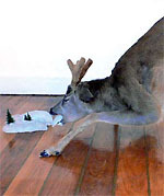 Delphine Gigoux-Martin expose au Musée de l'Abbaye Sainte Croix aux Sables jusqu'au 5 avril Delphine Gigoux-Martin expose au Musée de l'Abbaye Sainte Croix aux Sables jusqu'au 5 avril