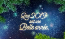 Bonne année à vous tous 