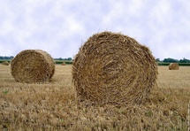 Appel du Préfet à la plus grande limitation possible du broyage des pailles