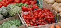 Marché des Producteurs de Pays à la Chabotterie le dimanche 10 juillet à la Chabotterie