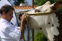 Il était une fois, La Foire ...des Minées à Challans du 9 au 13 septembre