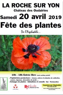 La Roche-sur-Yon : fête des plantes le samedi 19 avril à partir de 10h00 à 18h00 La Roche-sur-Yon : fête des plantes le samedi 19 avril à partir de 10h00 à 18h00