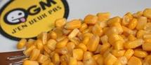 Dominique SOUCHET demande le maintien du moratoire sur le maïs OGM Monsanto Dominique SOUCHET demande le maintien du moratoire sur le maïs OGM Monsanto