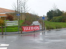 25ème Téléthon : 86 119 425 euros 25ème Téléthon : 86 119 425 euros