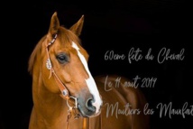 Moutiers les Mauxfaits: 60 ème fête du cheval dimanche 11 août au Château du Bois Lambert 