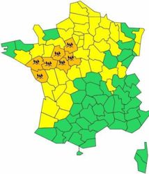 Alerte orange aux pluies et inondations dans l'ouest Alerte orange aux pluies et inondations dans l'ouest